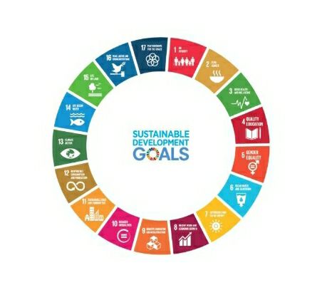 photo_2025-01-25_00-54-14 (2)